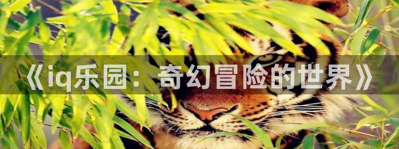 鼎点娱乐平台官网客服电话：《iq乐园：奇幻冒险的世界》
