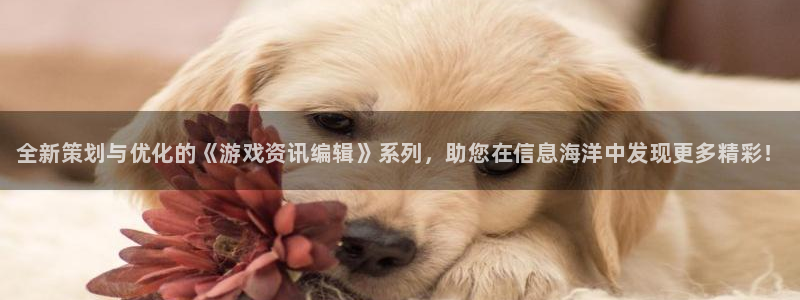 鼎点娱乐平台登录：全新策划与优化的《游戏资讯编辑》系列，助您