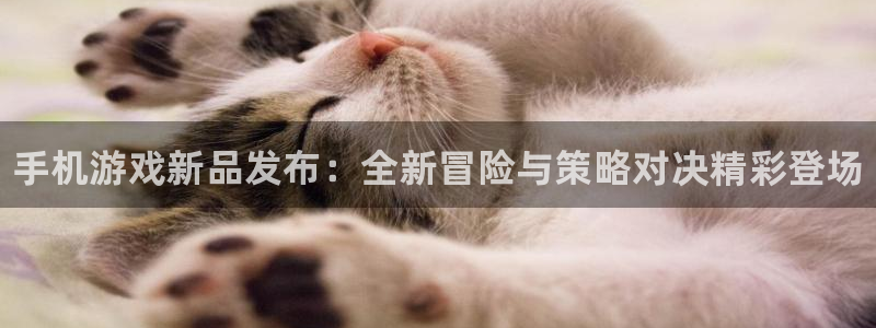 鼎点娱乐登录：手机游戏新品发布：全新冒险与策略对决精彩登场