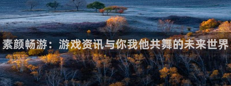 鼎点娱乐平台官网登录：素颜畅游：游戏资讯与你我他共舞的未来世