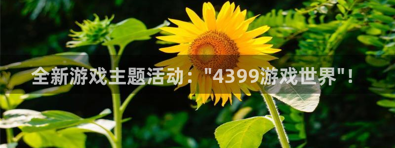 鼎点娱乐官网：全新游戏主题活动：\