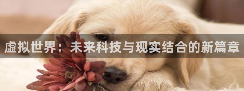 鼎点娱乐怎么注册：虚拟世界：未来科技与现实结合的新篇章