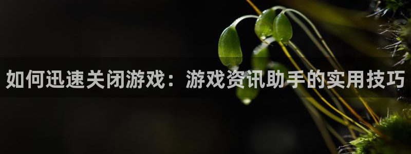 鼎点娱乐注册网站：如何迅速关闭游戏：游戏资讯助手的实用技巧