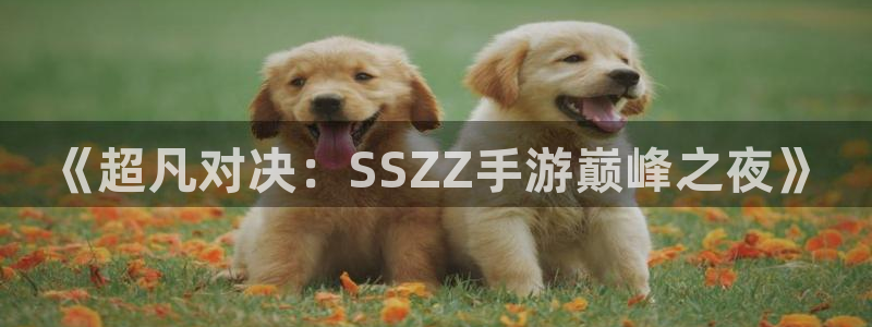 鼎点娱乐怎么注册：《超凡对决：SSZZ手游巅峰之夜》