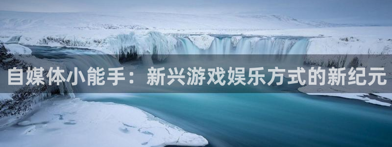 鼎点娱乐网址注册：自媒体小能手：新兴游戏娱乐方式的新纪元
