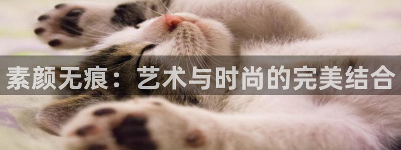 鼎点娱乐网页版地址