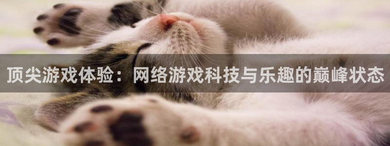 鼎点娱乐平台官方网站：顶尖游戏体验：网络游戏科技与乐趣的巅峰