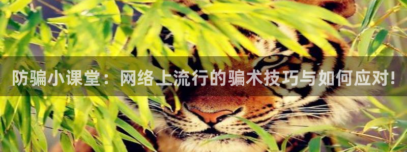 鼎点娱乐下载：防骗小课堂：网络上流行的骗术技巧与如何应对!