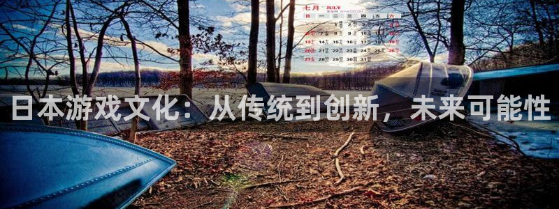 手机鼎点娱乐下载安装：日本游戏文化：从传统到创新，未来可能性