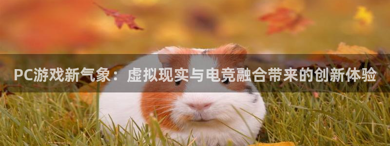 鼎点娱乐集团：PC游戏新气象：虚拟现实与电竞融合带来的创新体